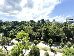 Blk 228 Bukit Batok Central (Bukit Batok), HDB 4 Rooms #452654021